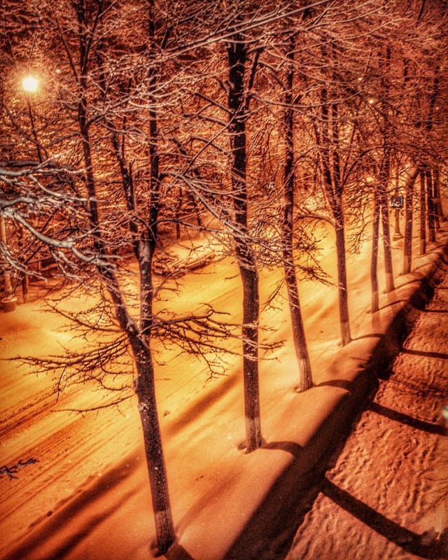winter_orange